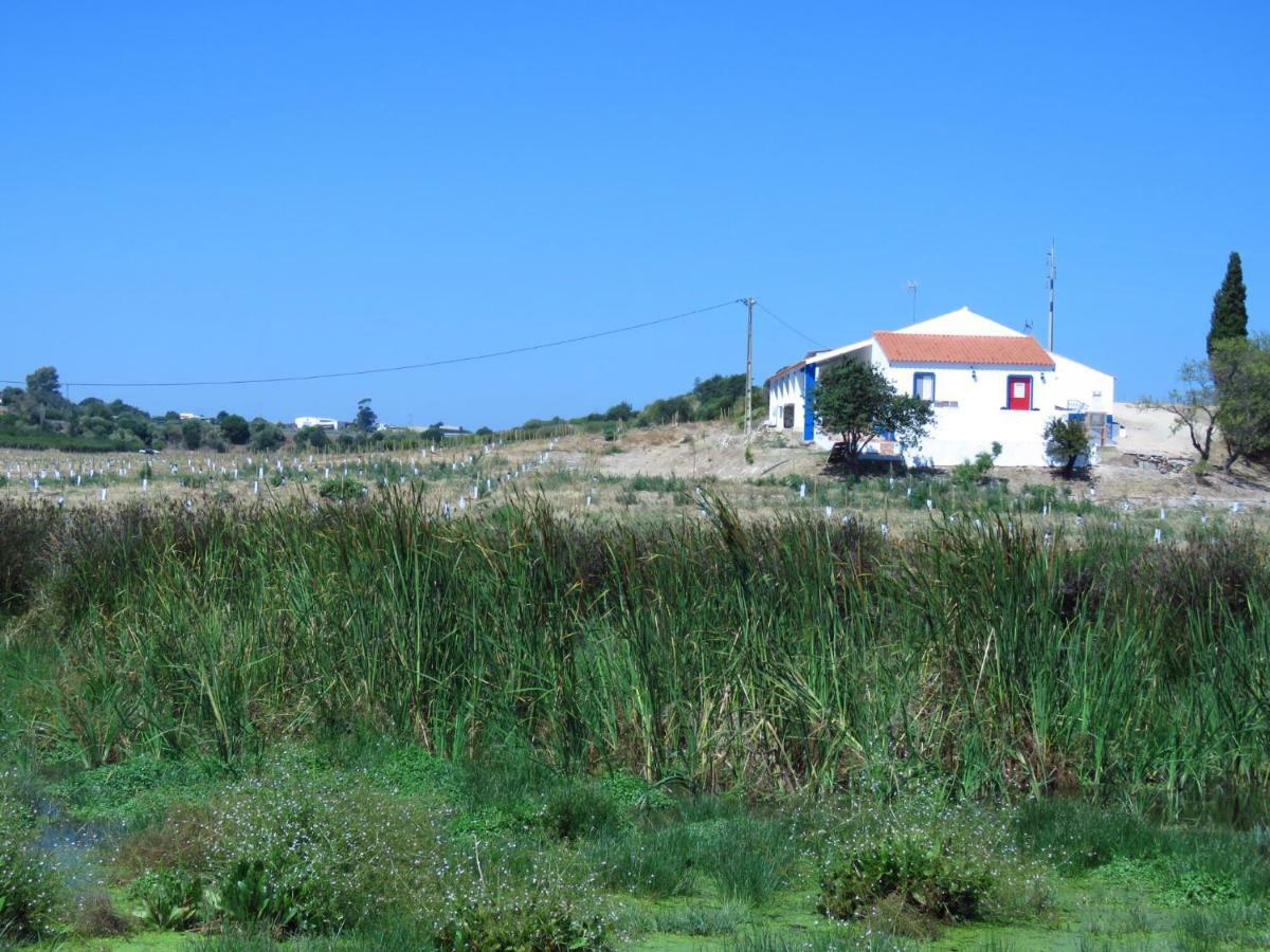 Villa Vale do Boto-Quinta com 3 casas Castro Marim Esterno foto