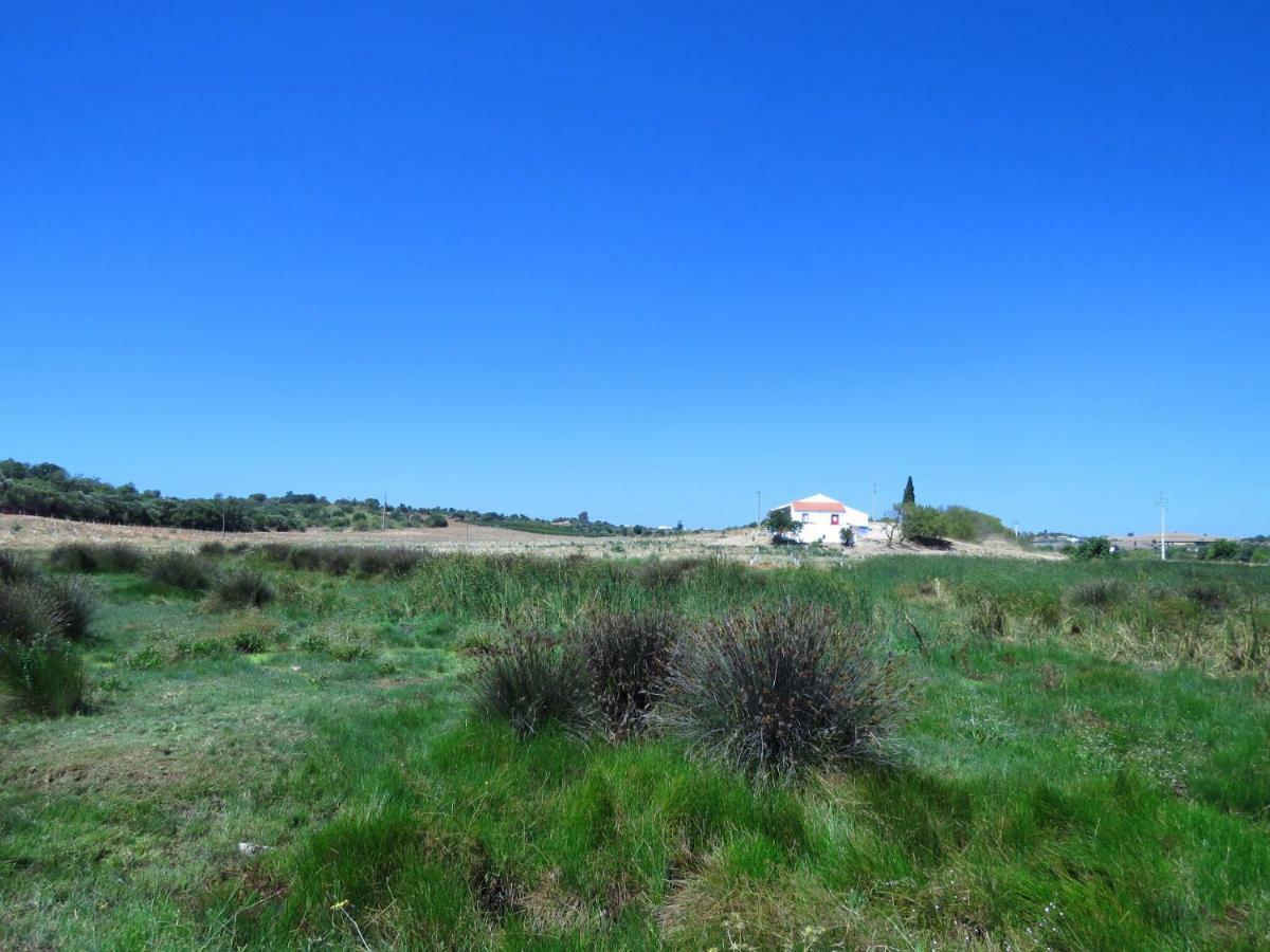 Villa Vale do Boto-Quinta com 3 casas Castro Marim Esterno foto